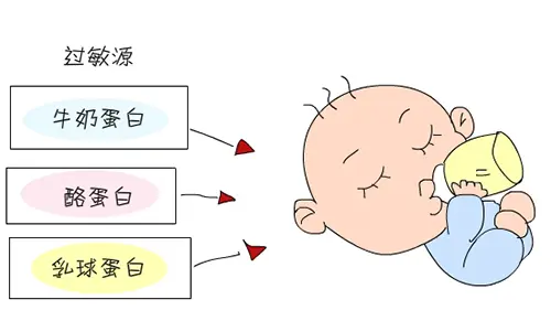 寶寶牛奶蛋白過敏怎么辦？